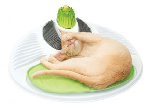 Station de massage pour chats