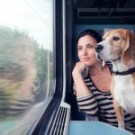 Quel mode de transport choisir pour voyager avec son chien ?