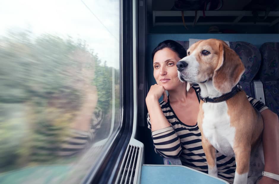 chien dans le train avec son maître
