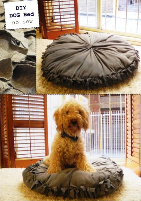 diy-panier-chien