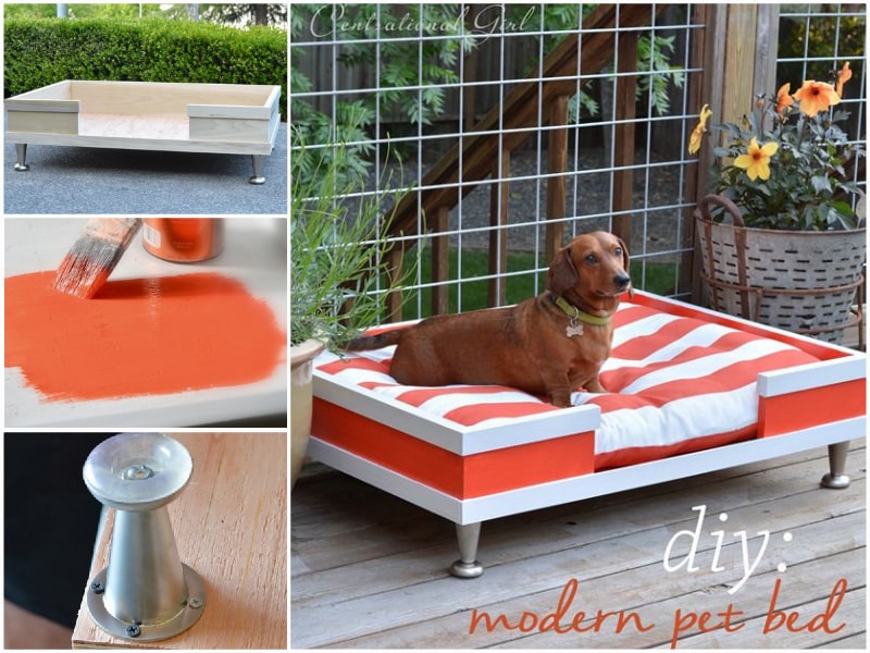 lit-bois-diy-chien