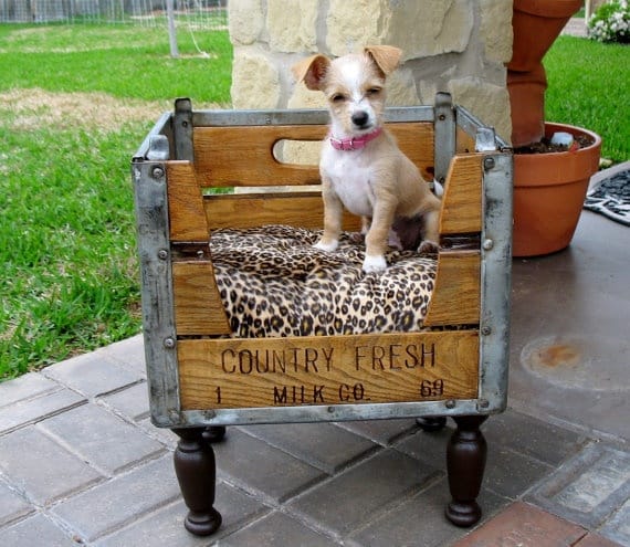 DIY : Construire un panier pour chien avec des matériaux de