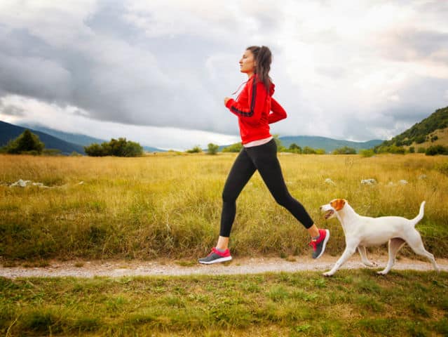 Quels sports canins pratiquer avec son chien ?