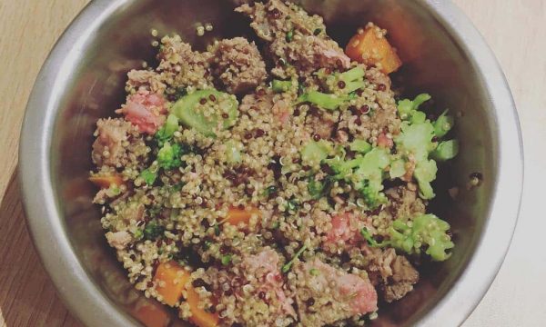 Recette pour chien au boeuf, quinoa et aux légumes