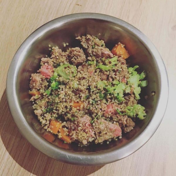 Recette pour chien au boeuf, quinoa et aux légumes