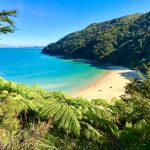 Nouvelle-Zélande : Quels Animaux voir durant votre voyage ?