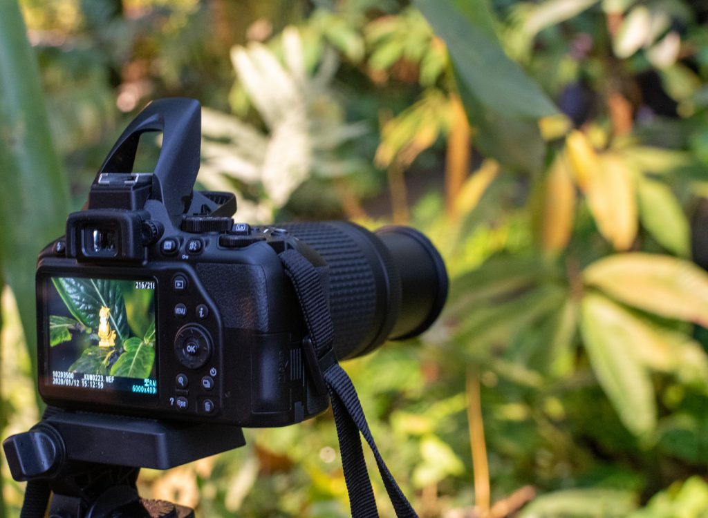Bien choisir ses réglages pour des photos réussies