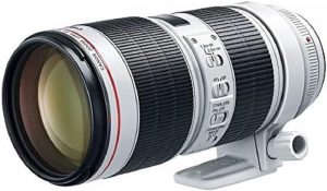 Canon EF 70-200 f/2.8L IS III USM