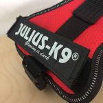 Le harnais Julius est-il un bon harnais pour chien ?