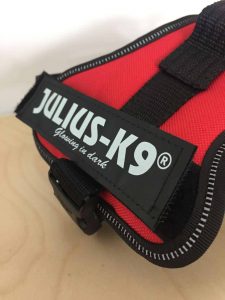 Le harnais Julius est-il un bon harnais pour chien ?