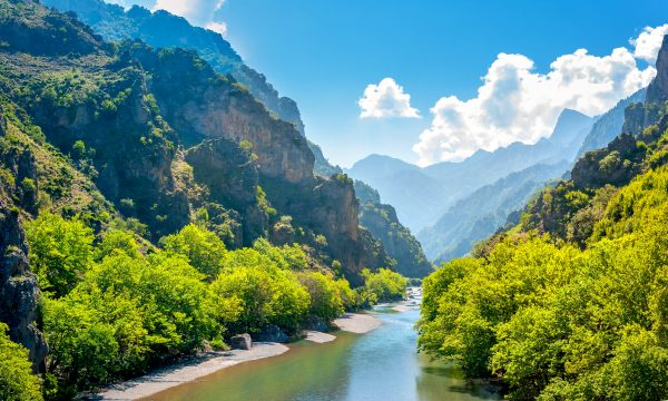 Quels animaux voir en Grèce ?