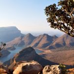 Quels animaux voir en Afrique du Sud ?