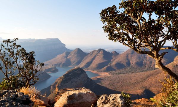 Quels animaux voir en Afrique du Sud ?