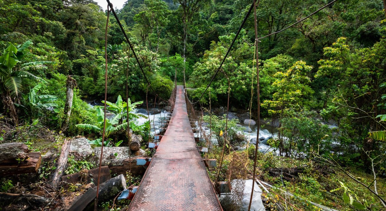 Quels animaux voir au Panama ?