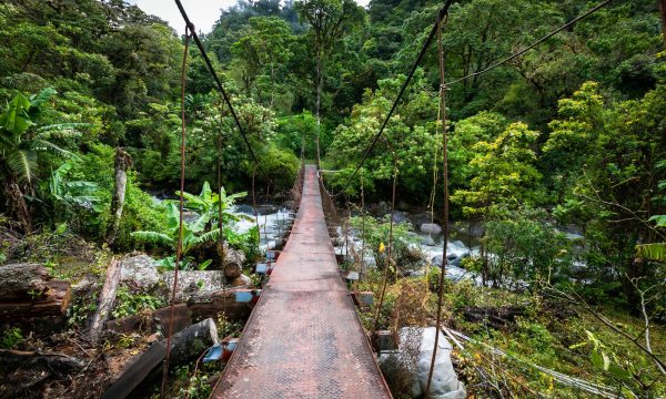 Quels animaux voir au Panama ?