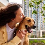Adoption d’un chien: où adopter ? Ce que dit la loi