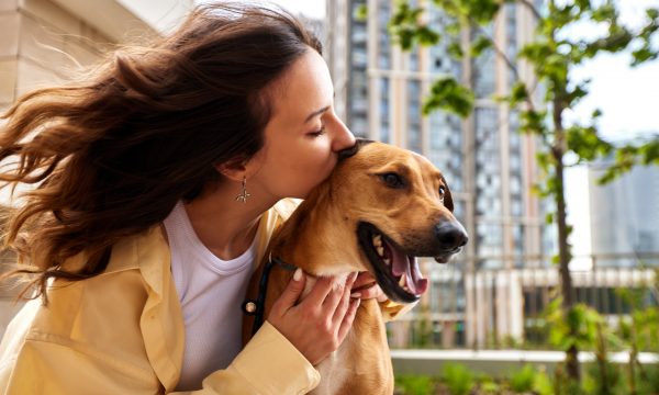 Où adopter son chien ?