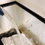 Comment mettre en eau un aquarium d’eau douce ?