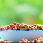 L’alimentation bio pour chat