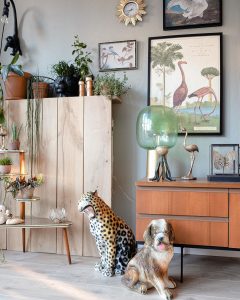 Comment Introduire les animaux dans sa déco d’intérieure ?