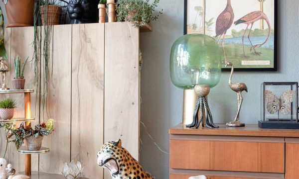 Comment Introduire les animaux dans sa déco d’intérieure ?