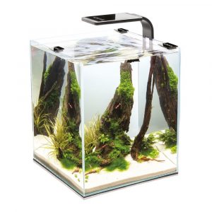 Aquarium Smart Blanc 19 L