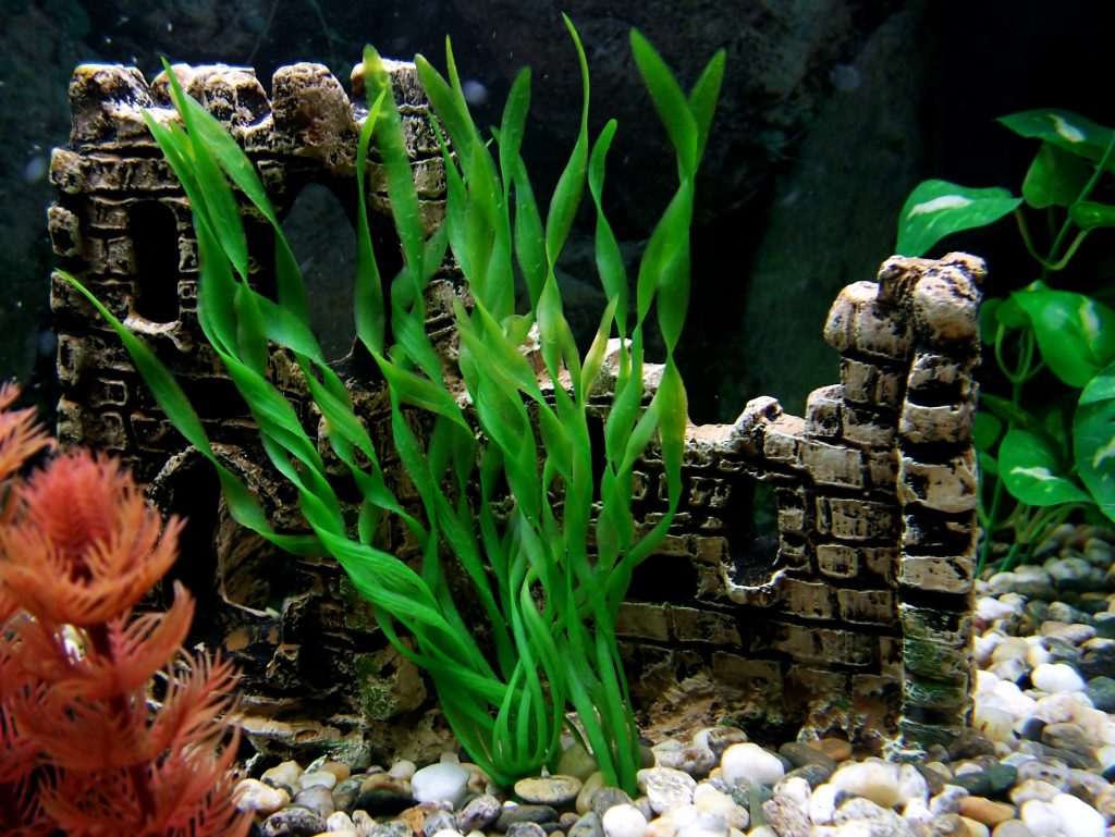 Plantes artificielles aquarium