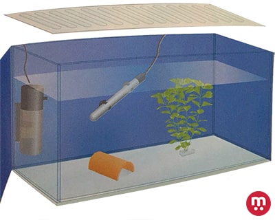 Schéma aquarium pour poissons en quarantaine