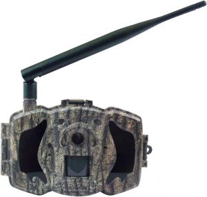 berger schroeter mg984g