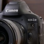 Comment choisir son appareil pour la photographie animalière