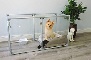 Cage en plexiglass pour chien