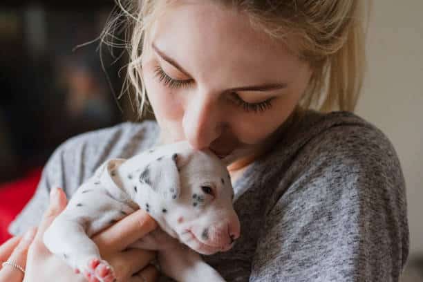 Devenir éleveur animalier : 7 choses à savoir u2014 Autour Des Animaux