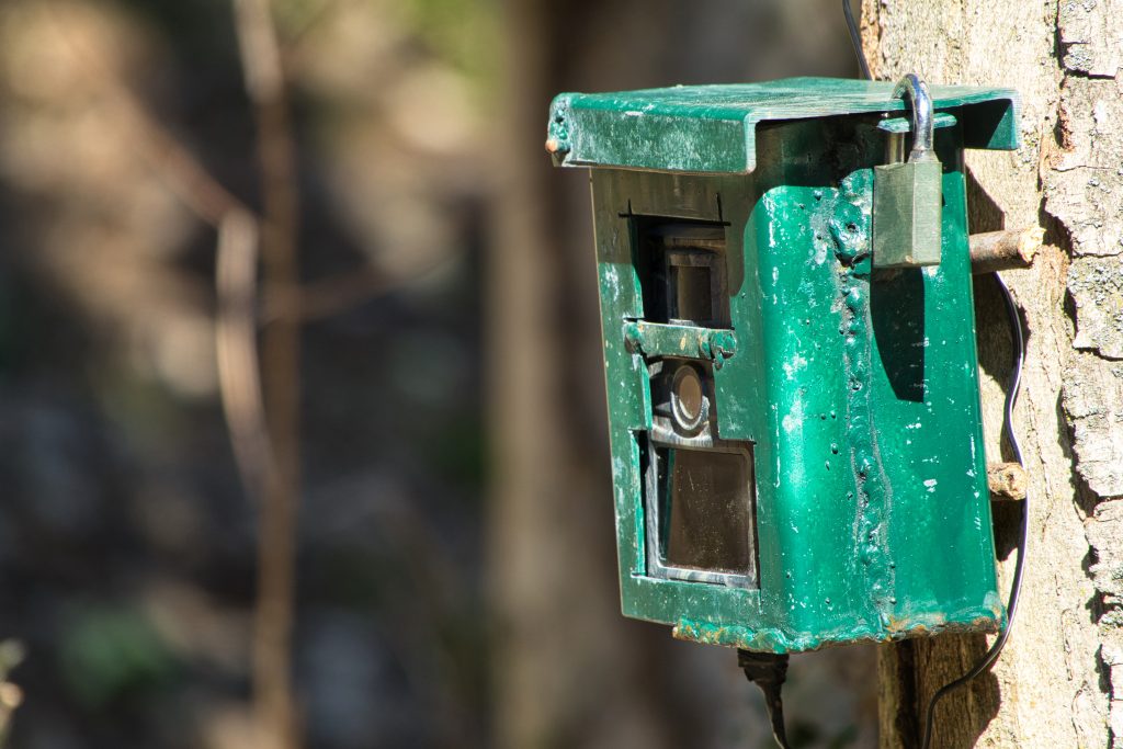 Boîtier sécurisé d'une caméra de chasse