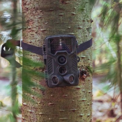 Caméra de chasse : critères et comparatif pour bien la choisir