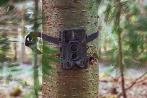 Caméra de Chasse : Guide d’Achat et Comparatif