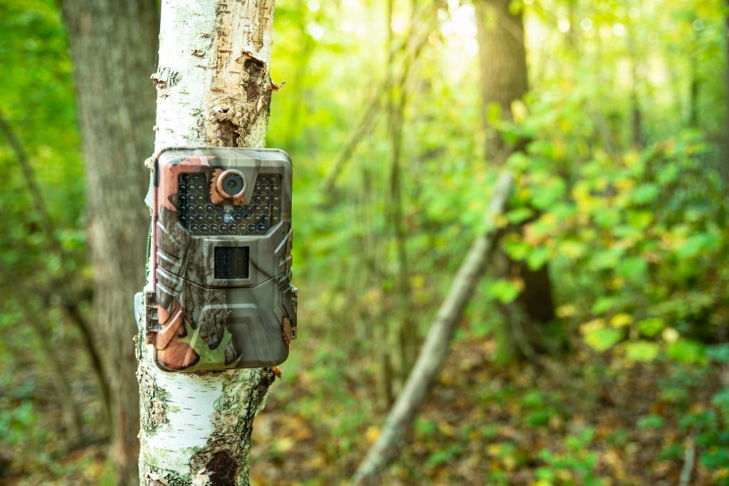 Caméra de chasse photo animalière