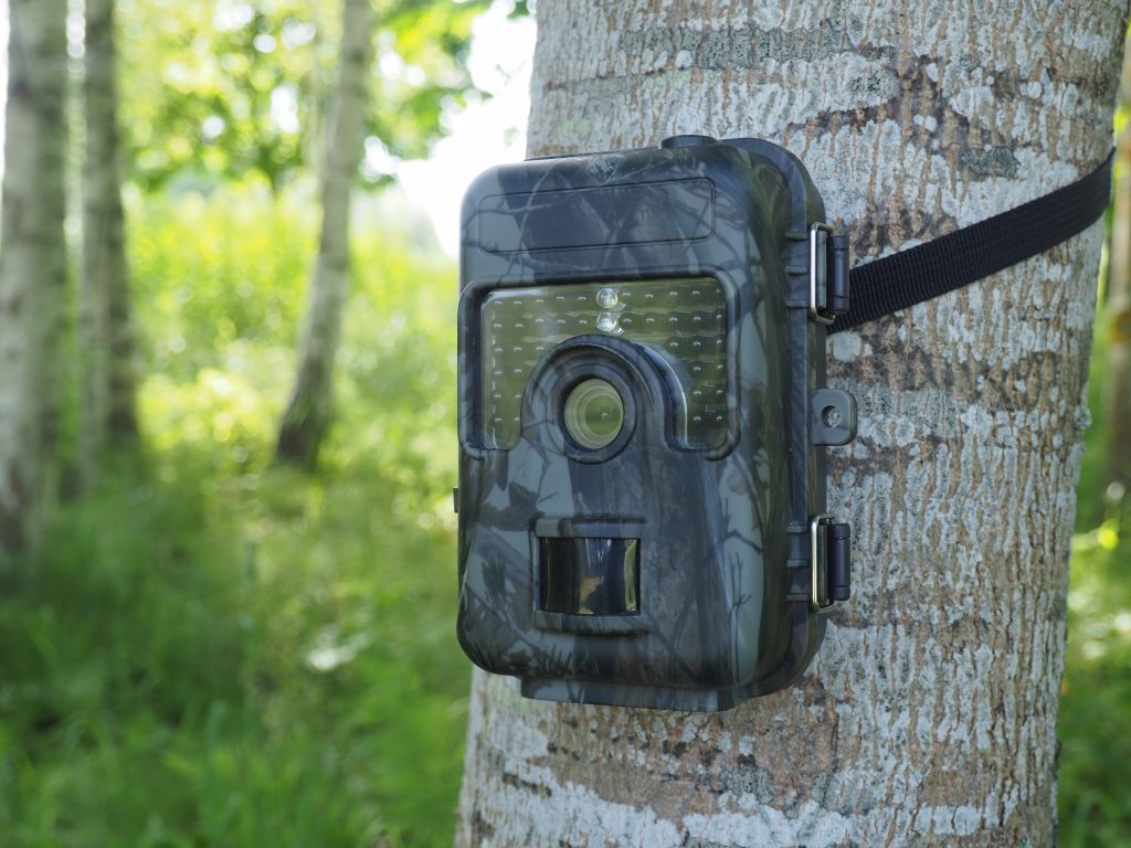 Caméra de chasse attachée à un arbre