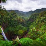 Quels animaux voir au Costa Rica ?