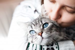 Assurance chats : comparatif, tarif et remboursement