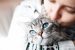 Assurance pour chats : comparatif et informations