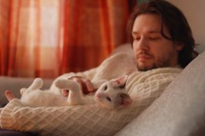 Pourquoi mon chat dort sur moi ?