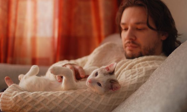 Pourquoi mon chat dort sur moi ?