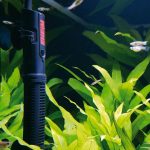 Chauffage pour aquarium : Tout Savoir pour le choisir