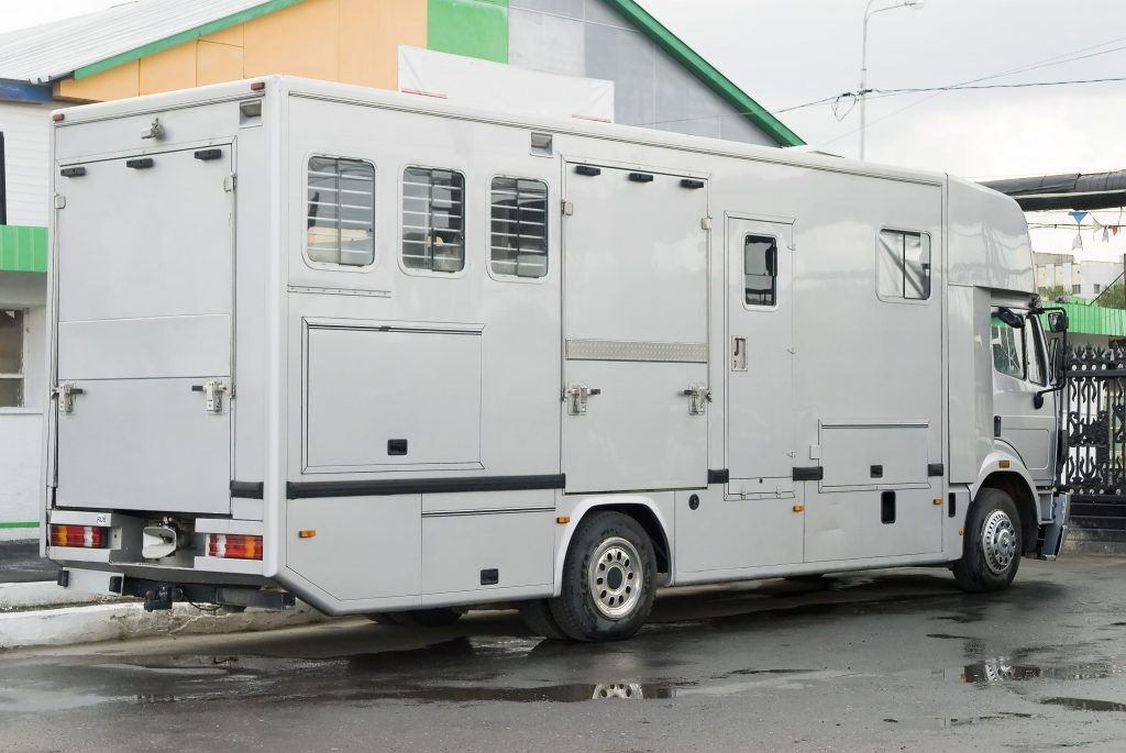 transporter un cheval dans un gros camion