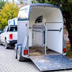 Transporter des chevaux : précautions et sécurité
