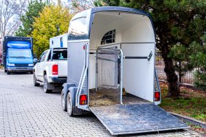 Transporter des chevaux : précautions et sécurité