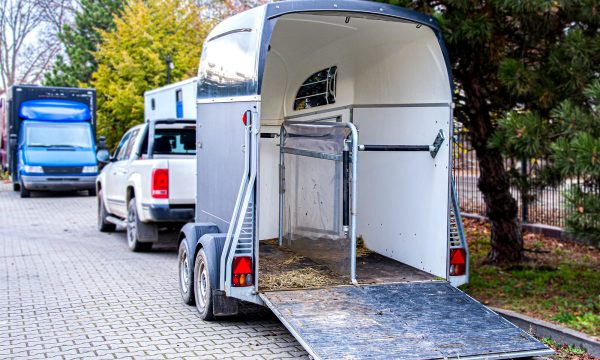 Transporter des chevaux : précautions et sécurité