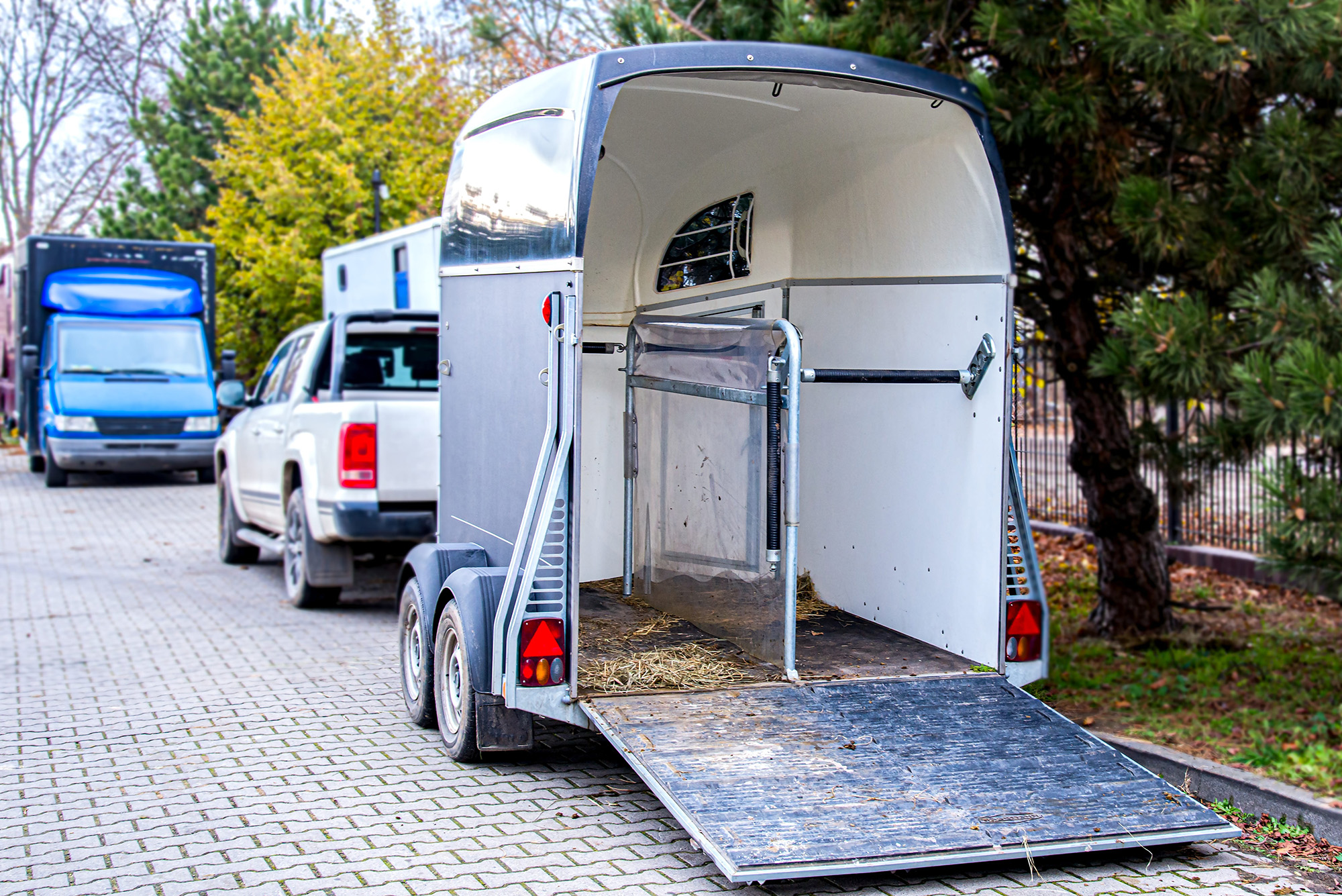 transport chevaux tours