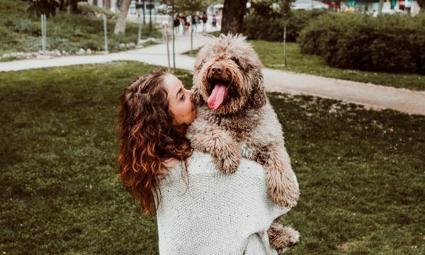 Center Parcs avec son chien: Conditions, Tarifs et Conseils
