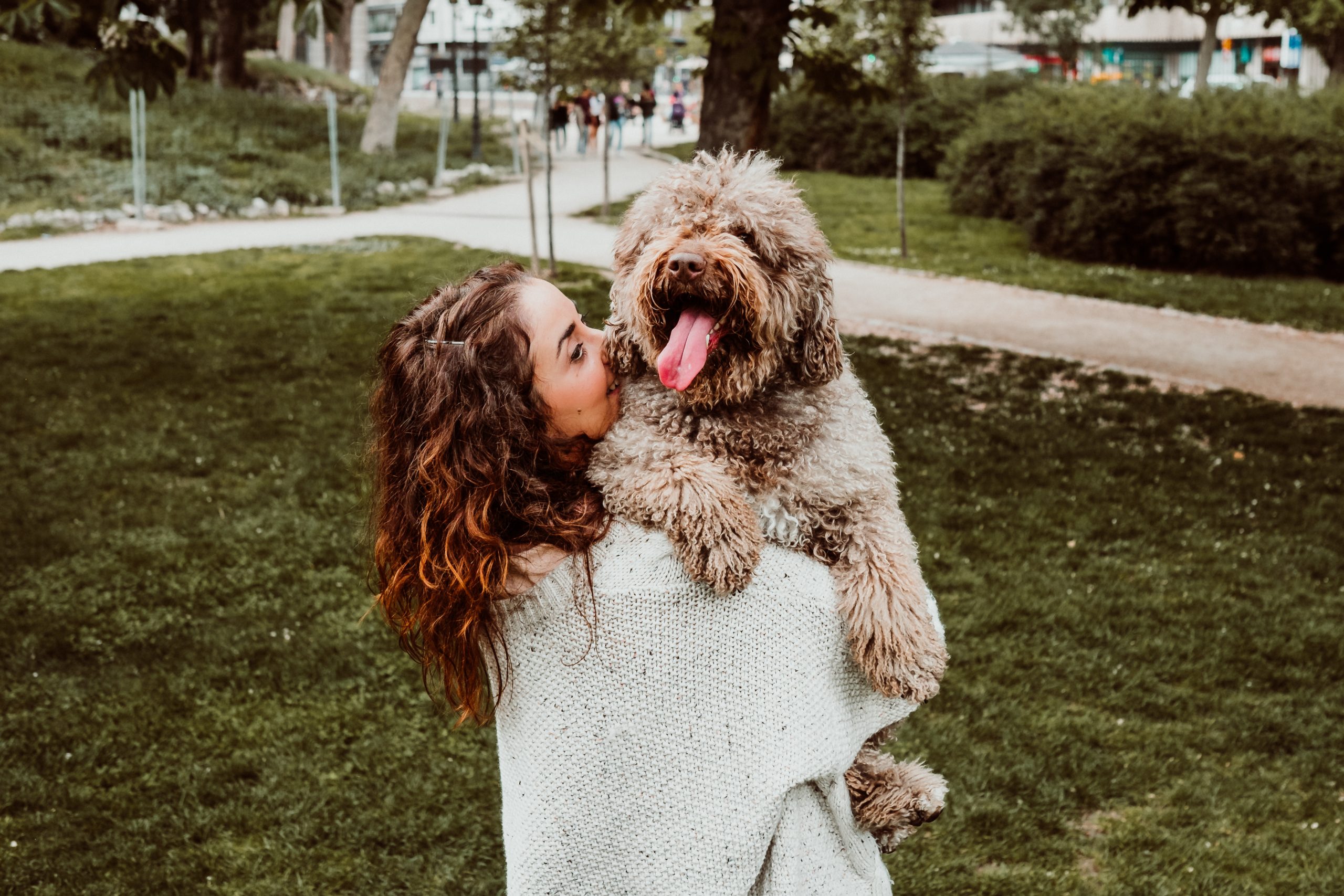 Ne Pas Declarer Son Chien Center Parcs Center Parcs : les chiens sont-ils autorisés ? - Voyager avec son chien —  Autour Des Animaux
